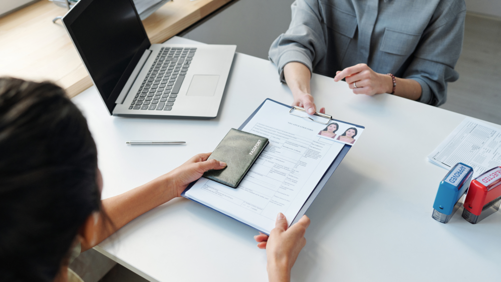 Reapplication and document strategy consultation